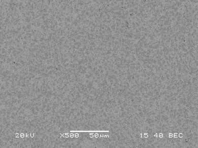 Borated stainless steel